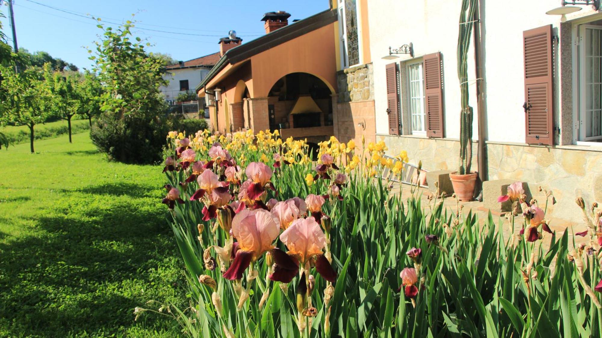 Casa Vacanze Ester Polverara Exterior photo